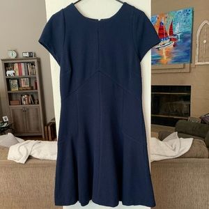 Banana Republic Navy Knit dress